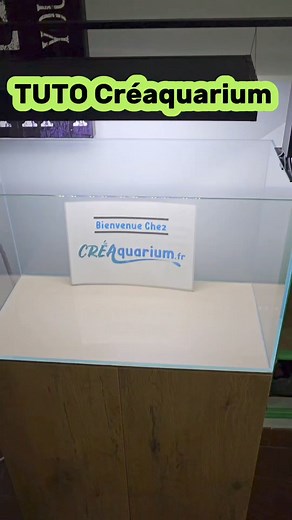 💡 Tu rêves de créer un magnifique aquarium ? Tout ce dont tu as besoin t'attend déjà dans ma boutique ! Dans cette vidéo, je te montre toutes les étapes pour réaliser un aquascape avec des éléments disponibles exclusivement chez moi. 🌿 📍 Adresse : 2 Rue Charles Sandro, 83136 Garéoult 📅 Ma boutique est ouverte chaque samedi de 10h à 17h, et en semaine sur rendez-vous. Viens teouver tout le matériel nécessaire, profite de mes conseils d'expert, et repars prêt à créer un véritable chef-d'œuvre 
