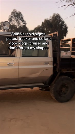 Exciting Stubble Pig Hunting Adventures