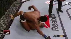 1.5K views · 28 reactions | Crazy fight | Kung fu frog mma | Facebook