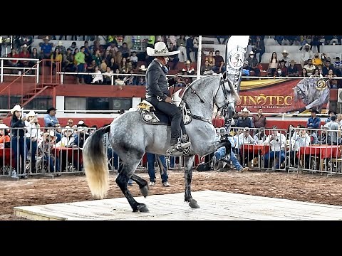 CABALLOS BAILADORES EN LA EXPO GANADERA JALISCO 2021 | Cat Cruzas