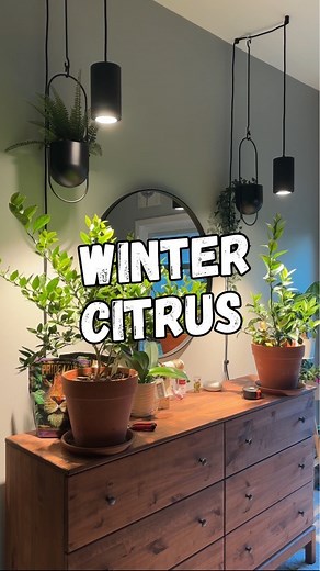 6.6K views · 1K reactions | Earth, Nails & Tails on Reels | Facebook