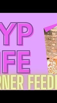 KYP || Learner feedback bs css