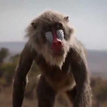 THE JUNGLE BOOK | Trailer 2 | Official Disney UK