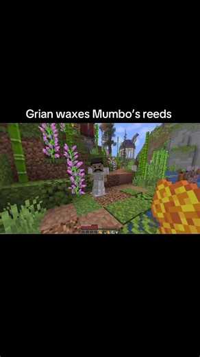 Grian waxes Mumbo’s reeds – Hermitcraft Season 11 clip