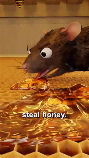 How Bees Turn a Dead Mouse Into a Golden Mummy 🐝