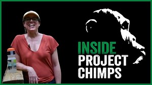 Want to be like Mindy? We're still accepting applications for our volunteer vacations that run April 21-25. Learn more and sign up for this Chimpcation here: https://projectchimps.org/volunteer-vacations/. | Project Chimps