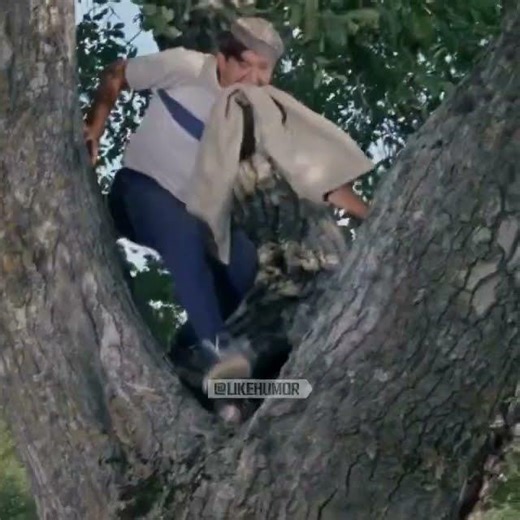 #юмор #смех #смешно #приколы #shortvideo #shorts