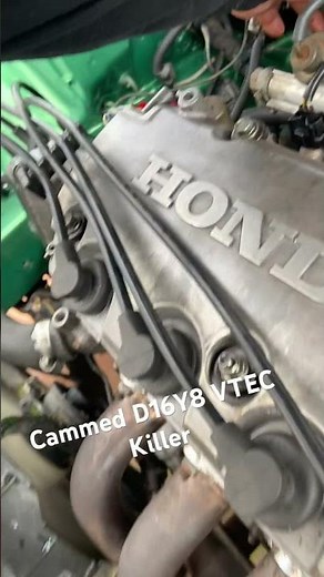 Cammed VTEC KILLER D16Y8