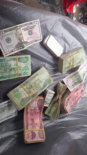 Exploring Unique Banknotes from Around the World