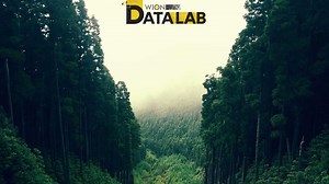 Data Lab: Making sense of India's forest cover change, both gains and losses