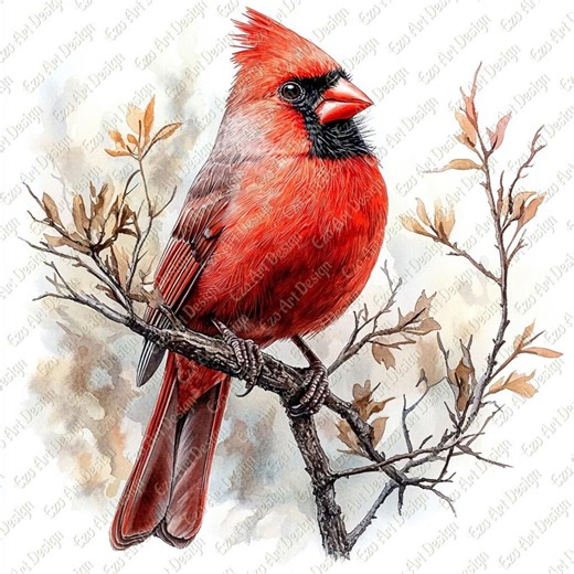 Red Cardinal Bird Clipart, Branch, AI Enhanced (digital Download) - Etsy
