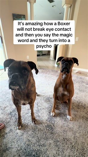 The Booberries (@the_boo_berries)’s videos with Funny Song - Sounds Reel