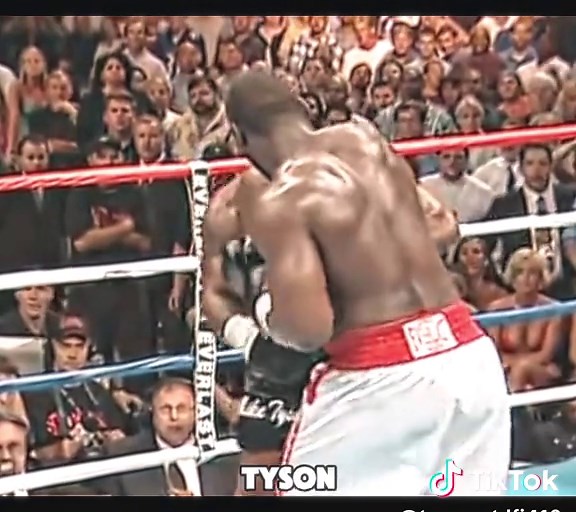 Mike Tyson vs. Danny Williams Boxing Match Highlights