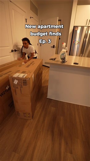 Budget Couch Surprise: New Apartment Finds!