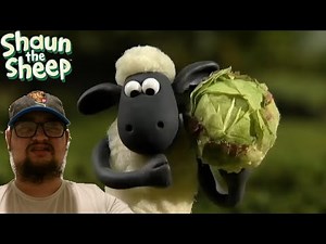 Shaun the Sheep: Off the Baa! (S1,E1) – First Time Watching: Will Shaun Score a Cabbage Goal?