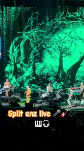 Split enz live in concert 🎤🎸🎧🎹🎶 #music #splitenz #livemusic #80smusic
