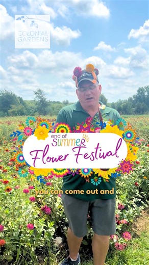 Colonial Gardens' Annual Flower Festival is this weekend, Saturday & Sunday, August 16th - 17th from 11 AM - 3 PM! Come out and enjoy flower picking, farm tours, military vehicle rides, u-pick, and more. Are you a teacher or education professional? You and your family get in for free! Click here to get your tickets: https://www.eventbrite.com/e/flower-festival-tickets-1486961394559?aff=ebdsshcopyurl&utm-campaign=social&utm-content=attendeeshare&utm-medium=discovery&utm-term=listing&utm-source=cp