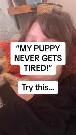 Effective Tips for Training Your Hyperactive Puppy