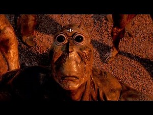 Humans Send Cockroaches on Mars, But 500 Years Later They Evolved to Cockroach People