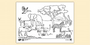 Savannah Habitat Colouring Page