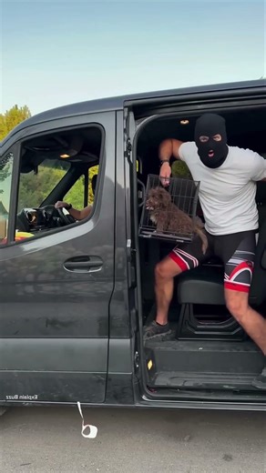 He Tricked Them Into the Car | No One Realized What Was Happening#shorts #funny #facts