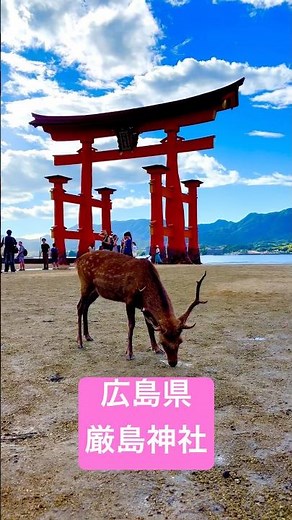 #広島県 #Hiroshima #厳島神社