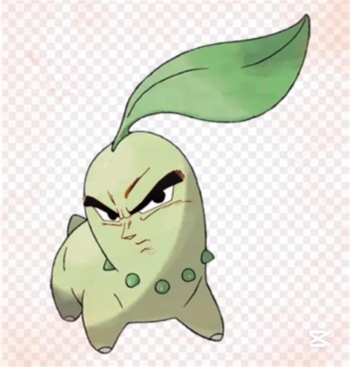 Los nombres de mis Pokémon be like: