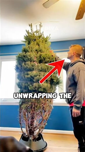 Craziest Christmas Tree! 🎄 #shorts #trending #viral #family #funny