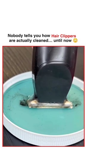 Mr Snapfix | This video reveals the actual process of how hair clippers are professionally cleaned after repeated use. Instead of a quick brush, the... | Instagram