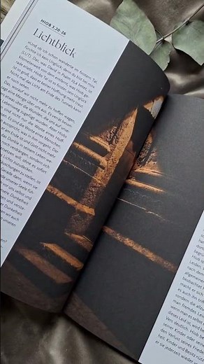 Das Bibellesebuch zu Hiob