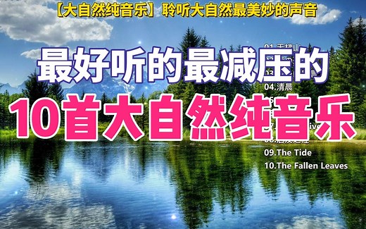 【大自然纯音乐】聆听大自然最美妙的声音｜治愈 温柔 学习