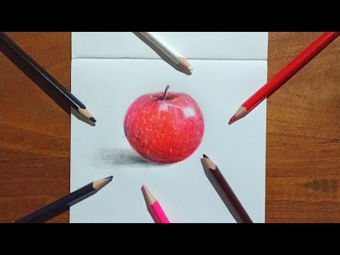 Realistic apple in colored pencils