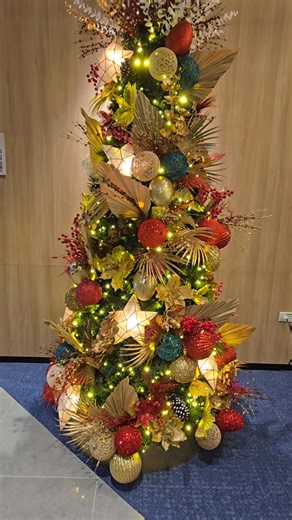 🌟 Christmas Reflection – Day 2 (December 2) Theme: Peace in the Midst of Chaos As December unfolds, life often feels rushed—traffic, deadlines, preparations, and endless lists. Yet Christmas reminds us that true peace is not found in the absence of noise, but in the presence of Christ. - 🌌 Scripture Light: “Peace I leave with you; my peace I give you. I do not give to you as the world gives.” (John 14:27) - 🌱 Reflection: The world’s version of peace is temporary—quiet moments that quickly fad