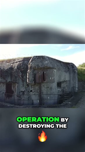 WWII German Gas Attack: Deadly Tests Revealed #shorts