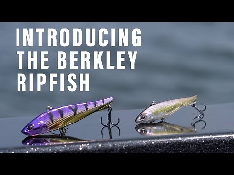 Unleash the Science: Meet the All-New Berkley Ripfish
