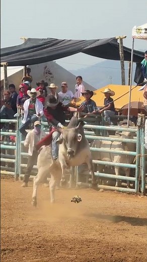 CRAZY BULL RIDE! 🐂