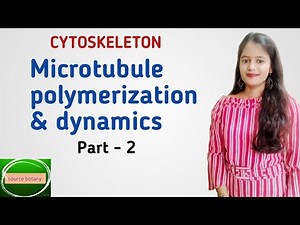 Microtubule polymerization & Dynamics | MTOC | Dynamic instability | Function | by onee gupta