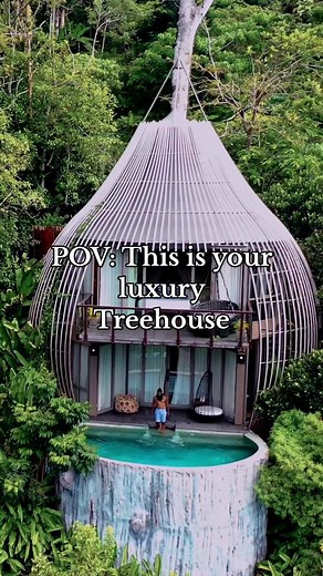 Luxury Treehouse Stay in Thailand