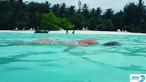 Swimming in Maldivas waters 😎🏊🏊💪🏻 | Swimming Fanatic