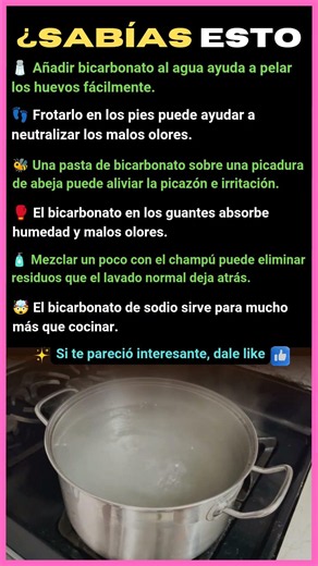 SECRETOS DEL BICARBONATO QUE NADIE TE CUENTA 🧂😱 ¿SABÍAS ESTO?