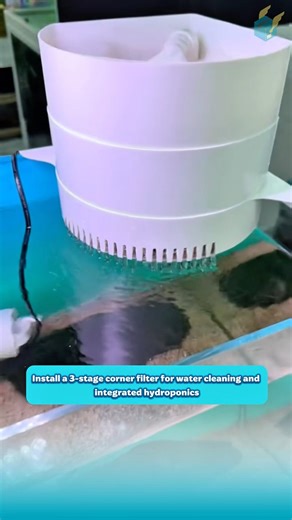Install a 3-stage corner filter for water cleaning and integrated hydroponics