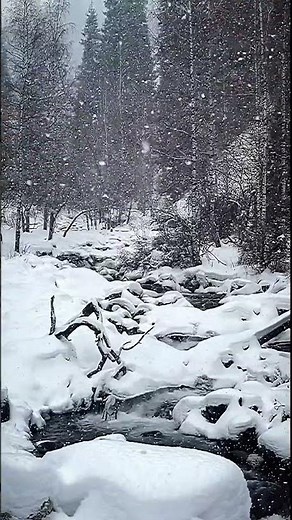 Snowfall, frozen stream, winter forest stream, nature sounds, 4k, nature shorts - winter snow