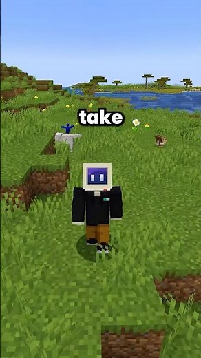 Fastest MOB In Minecraft! #minecraft