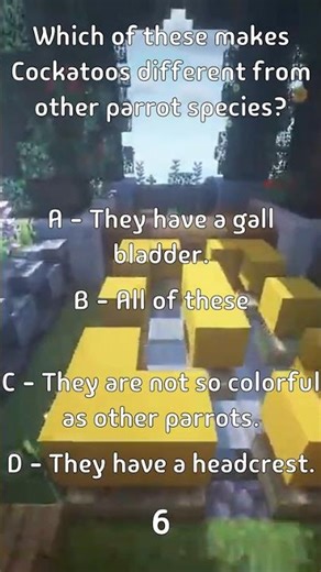 Which of these makes Cockatoos different from other parrot species?