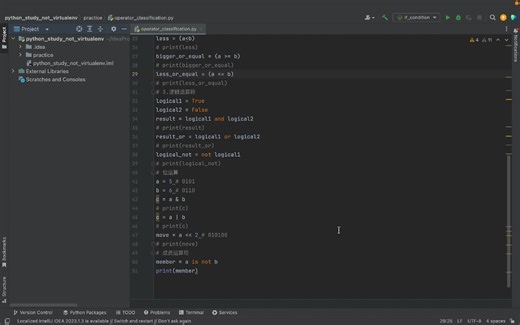 python的if条件控制语句
