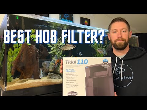 Seachem Tidal Hang On Back Filter | Unboxing, Setup, Cleaning, & Review