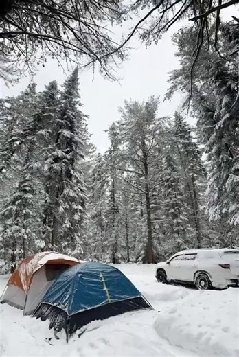 Algonquin Provincial Park, Canada ˋ°•*⁀➷📍