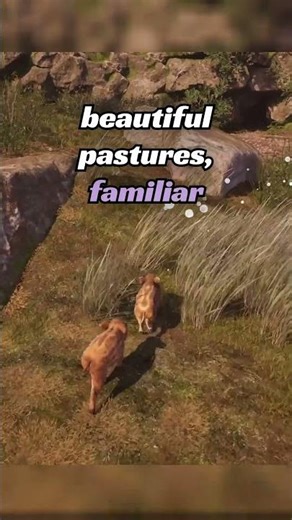 You Play as a Baby Boar Trying To Find His Family #adorableadventures