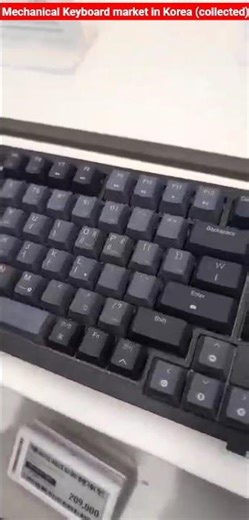 Mechanical Keyboard market in Korea (collected)