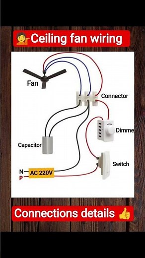 #Shorts Switch and Fan Wiring|Fan Wiring Basics for Beginners|How to Connect Ceiling Fan|Quick Guide